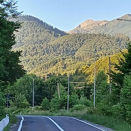 Pensiunea Dates Кырцишоара Экстерьер фото