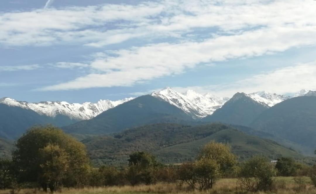 Pensiunea Dates Кырцишоара Экстерьер фото