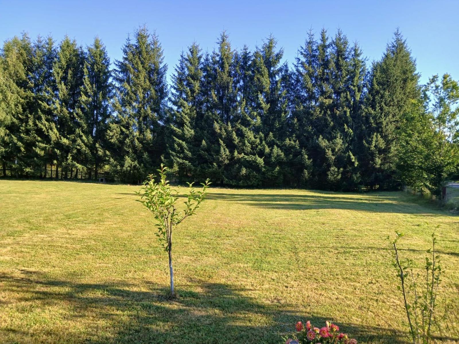Pensiunea Dates Кырцишоара Экстерьер фото