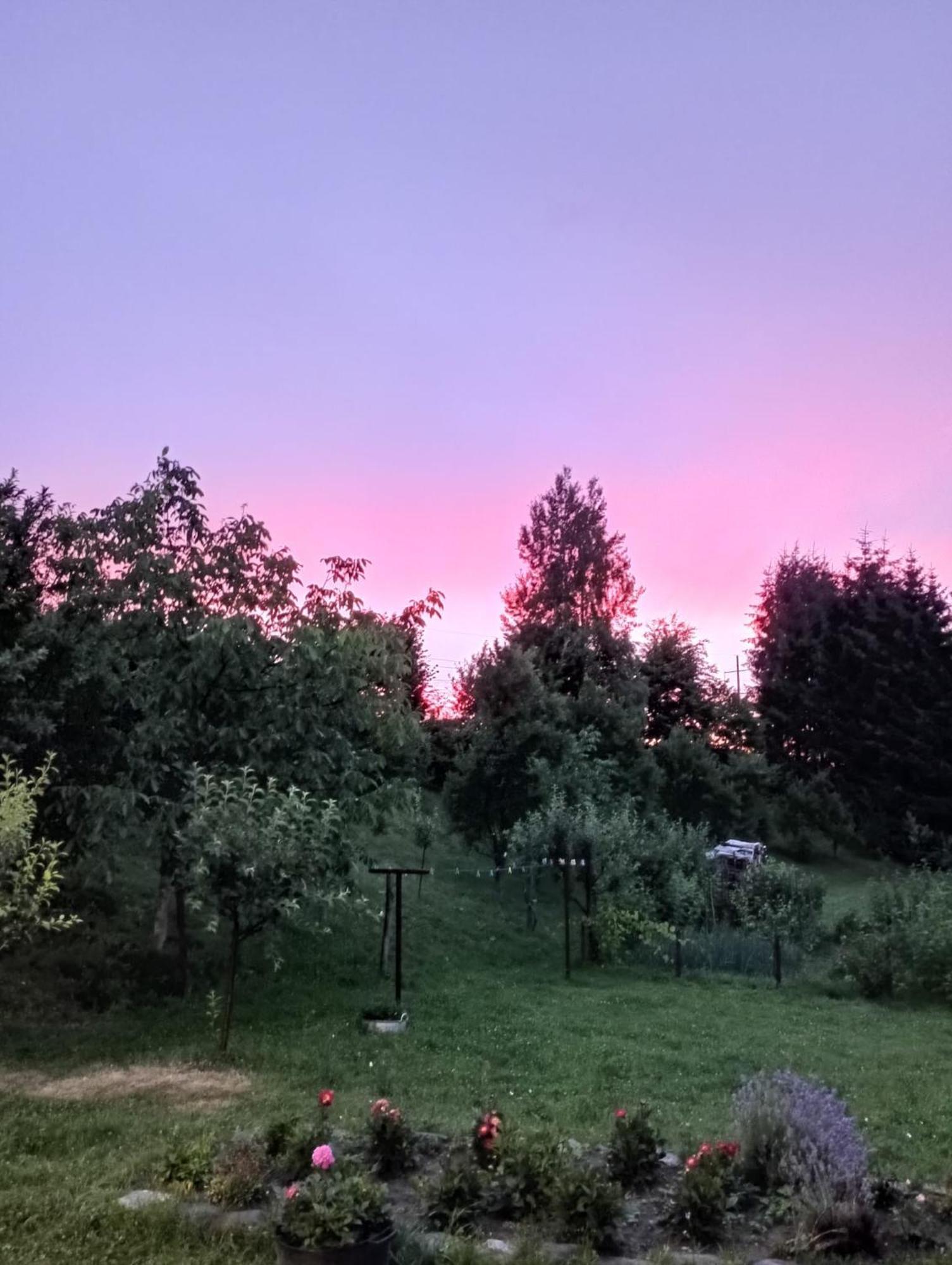 Pensiunea Dates Кырцишоара Экстерьер фото
